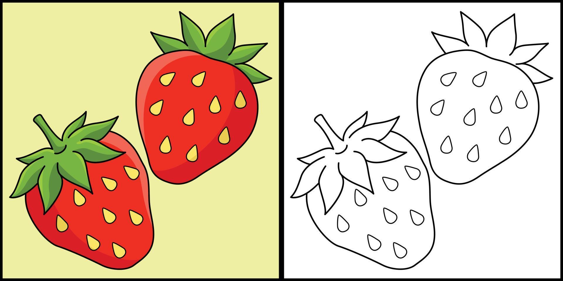 Strawberry Fruit Coloring Page Illustration vector