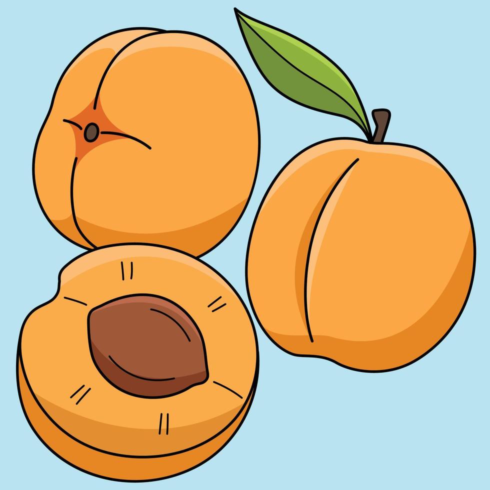 albaricoque Fruta de colores dibujos animados ilustración vector