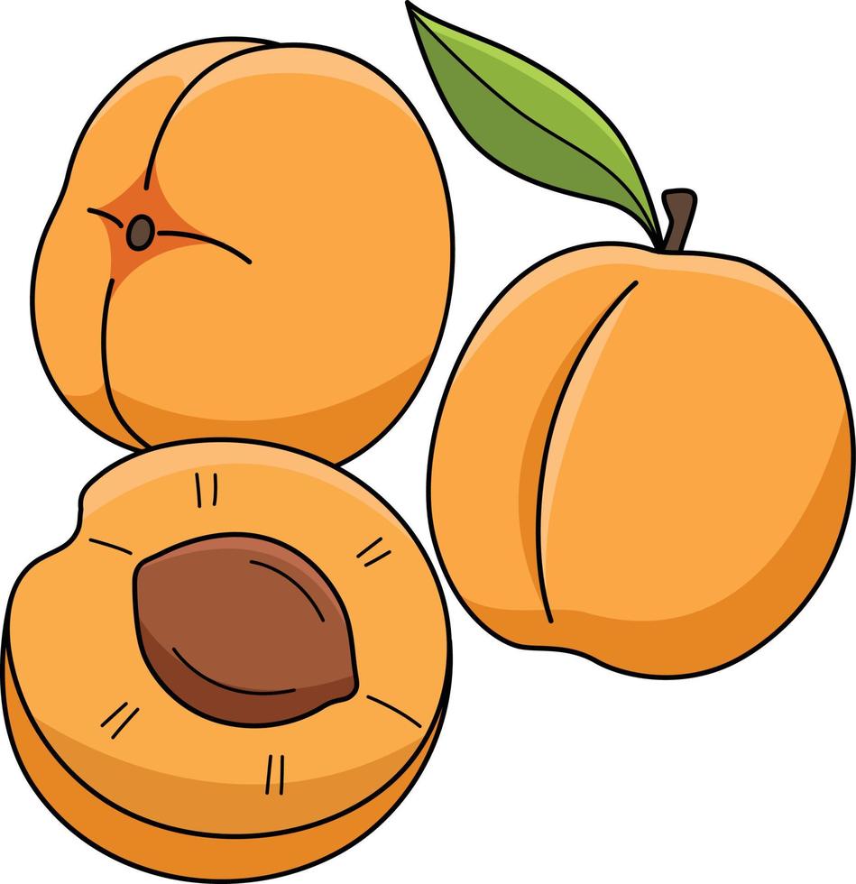 Apricot Fruit Cartoon Colored Clipart Illustration vector