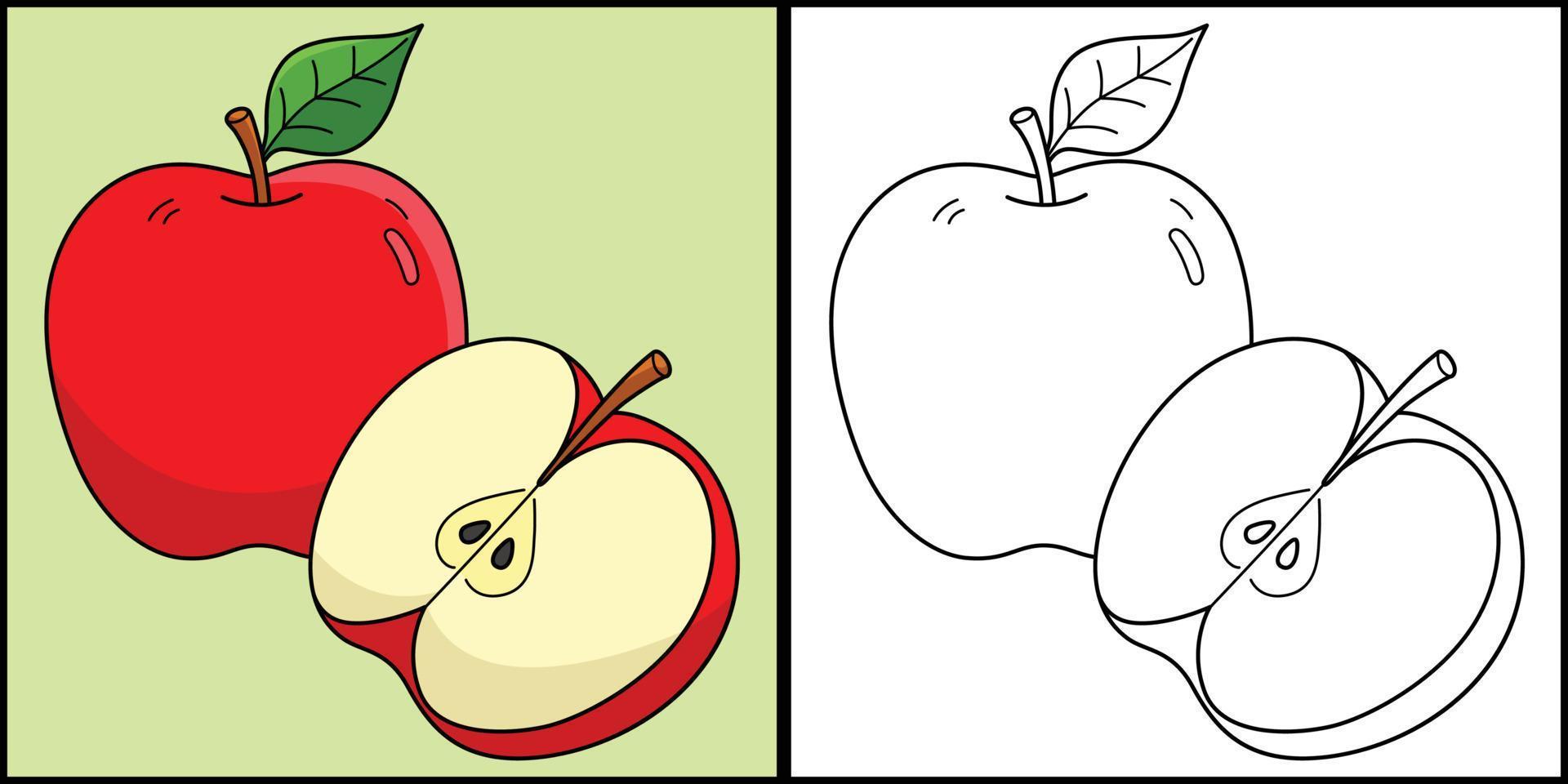 Apple Fruit Coloring Page Colored Illustration vector