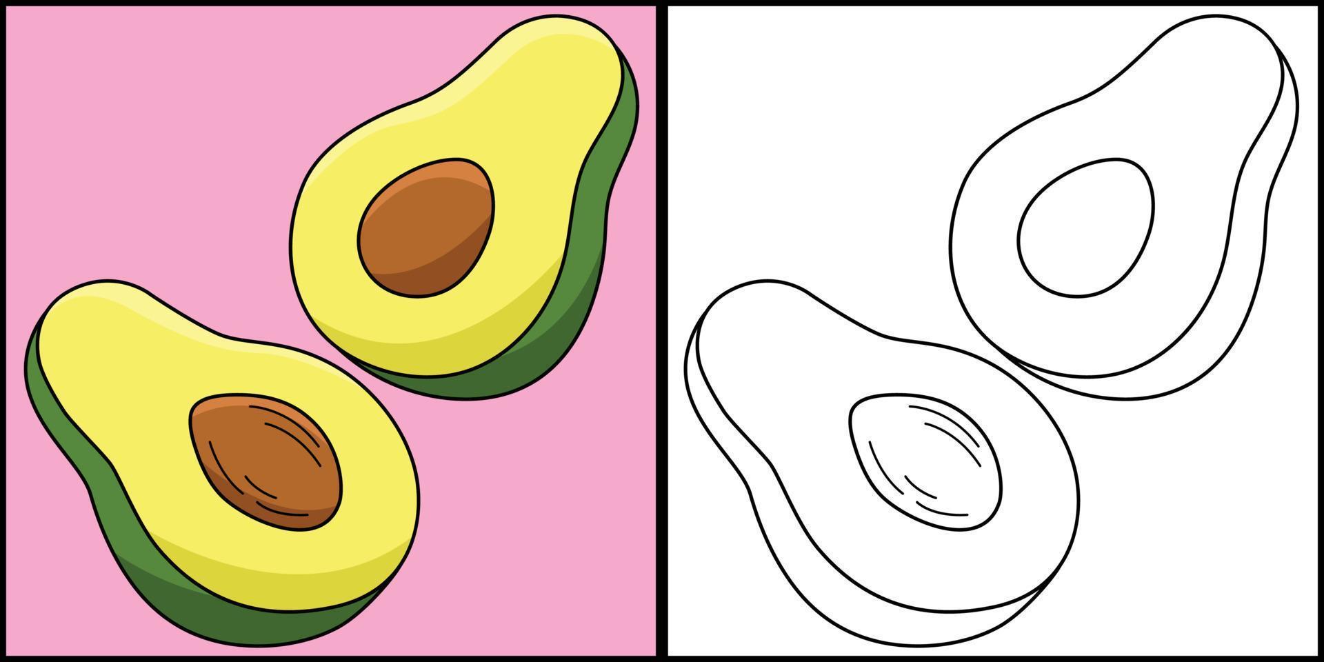 medio aguacate Fruta colorante página ilustración vector