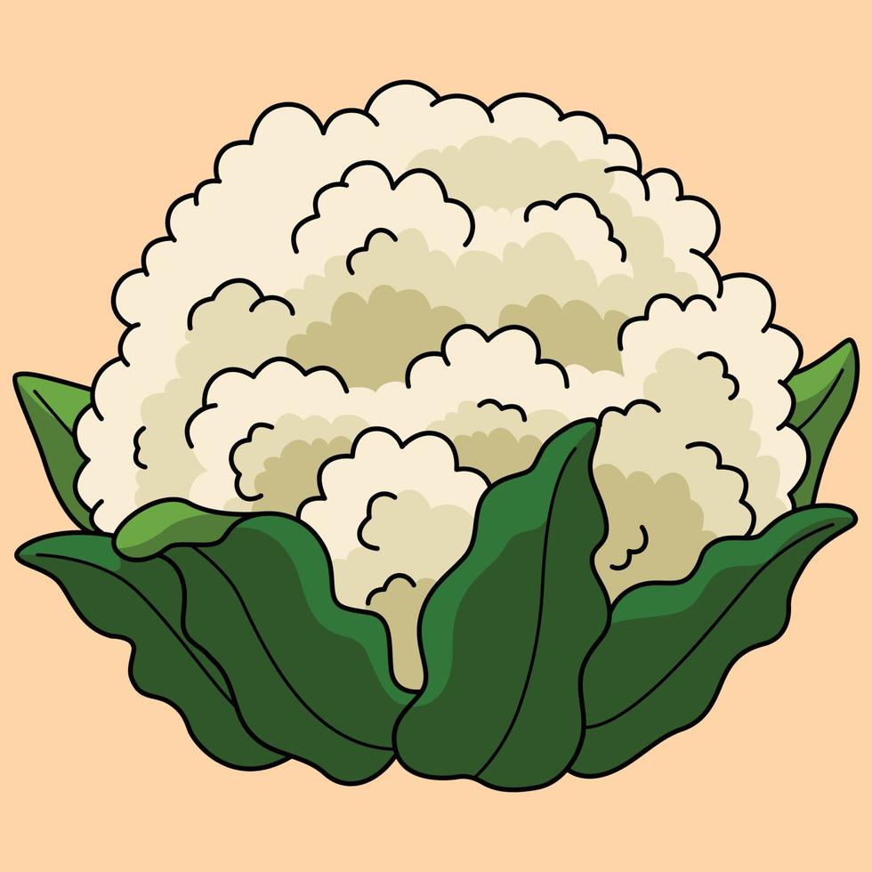 Cauliflower Drawing Food Vector Images (over 1,200)