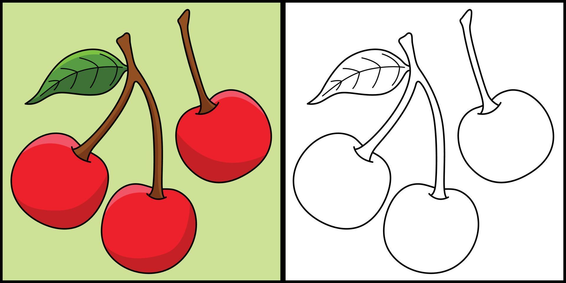 Cherry Fruit Coloring Page Colored Illustration vector