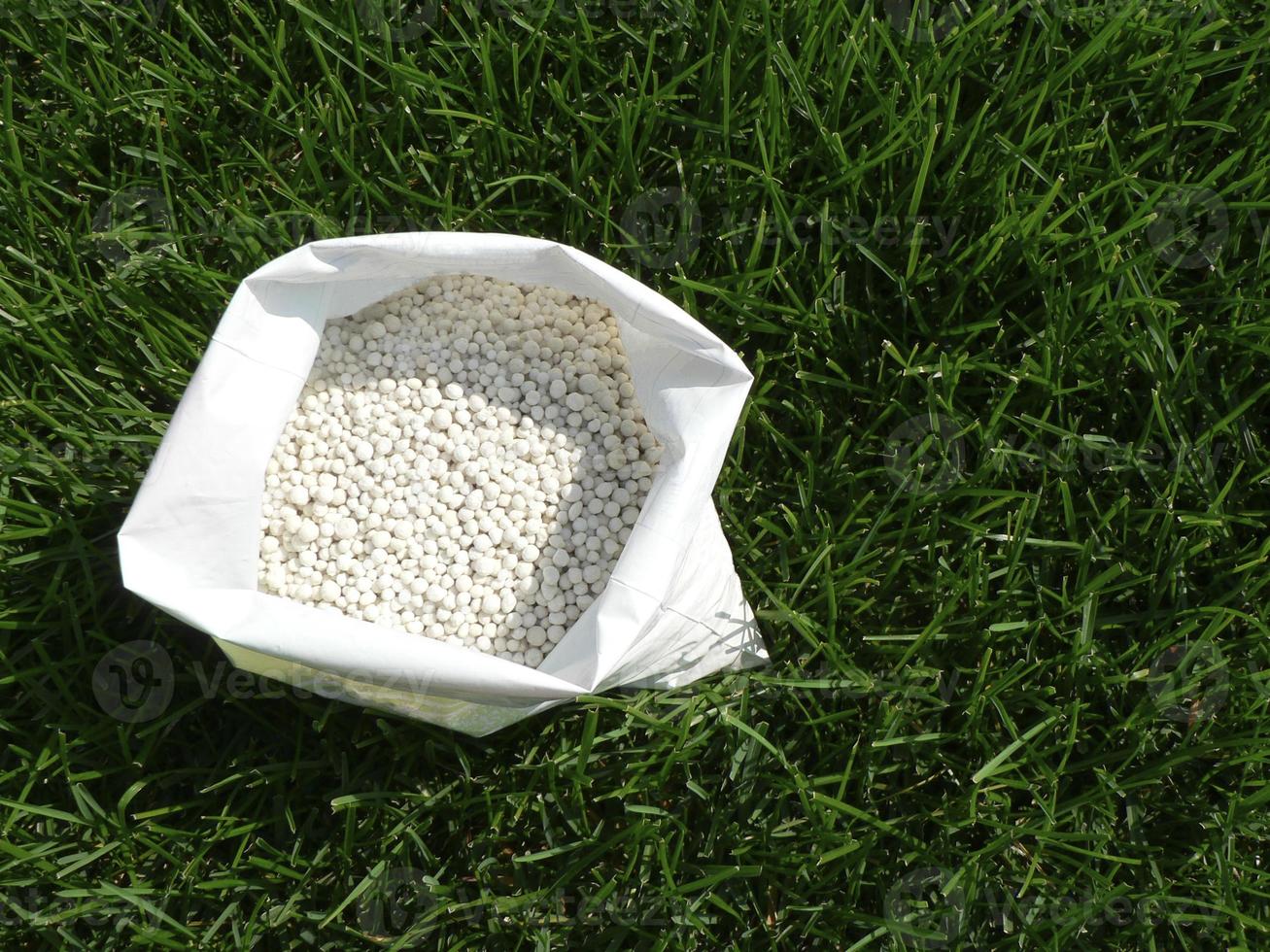 Fertilizer for grass, lawn, meadow in a bag of white granules on a background of green grass. Close up of mineral fertilizer granules used on grass lawns and gardens to maintain health and growth. photo