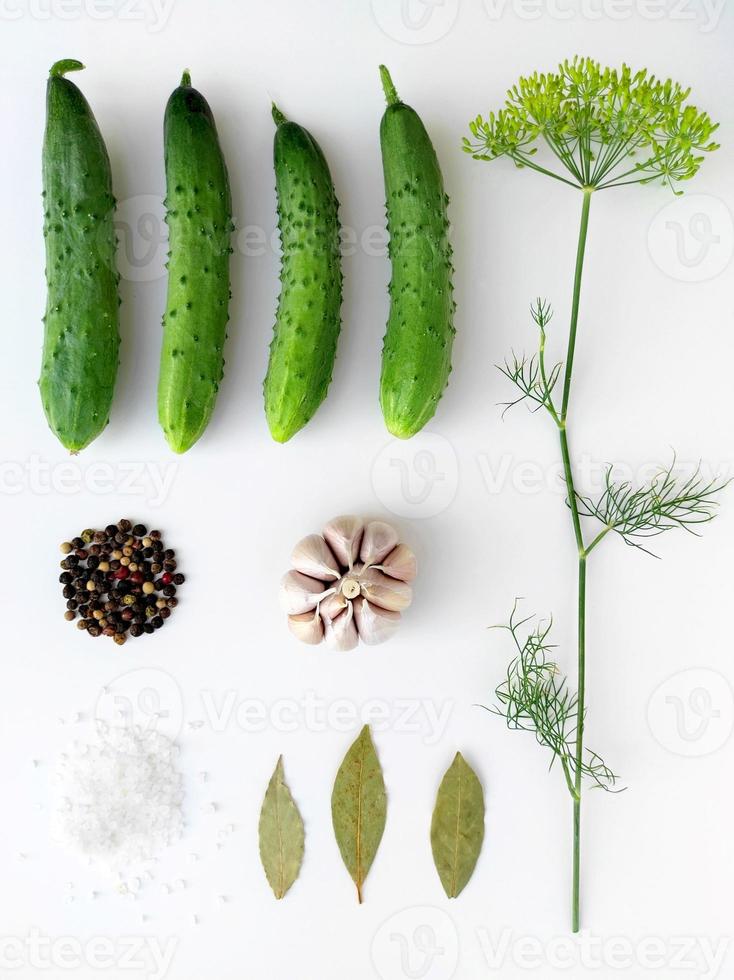 Ingredients for pickling cucumbers. Concept culinary recipe preservation of vegetables in harvest season. Assorted cucumbers, garlic, dill, salt, pepper and bay leaf. Flat lay, knolling concept. photo