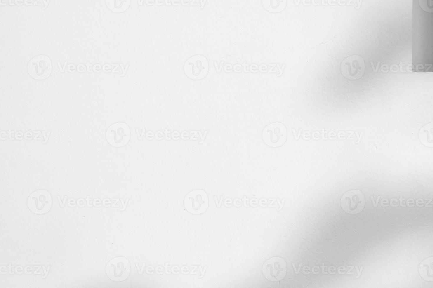 Abstract natural tree leaves shadow on white wall background photo