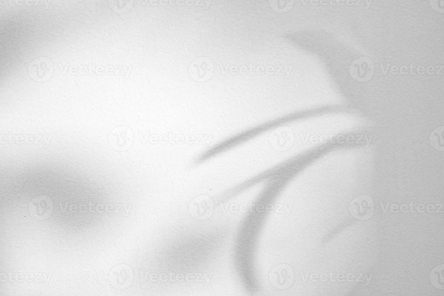 Abstract natural tree leaves shadow on white wall background photo