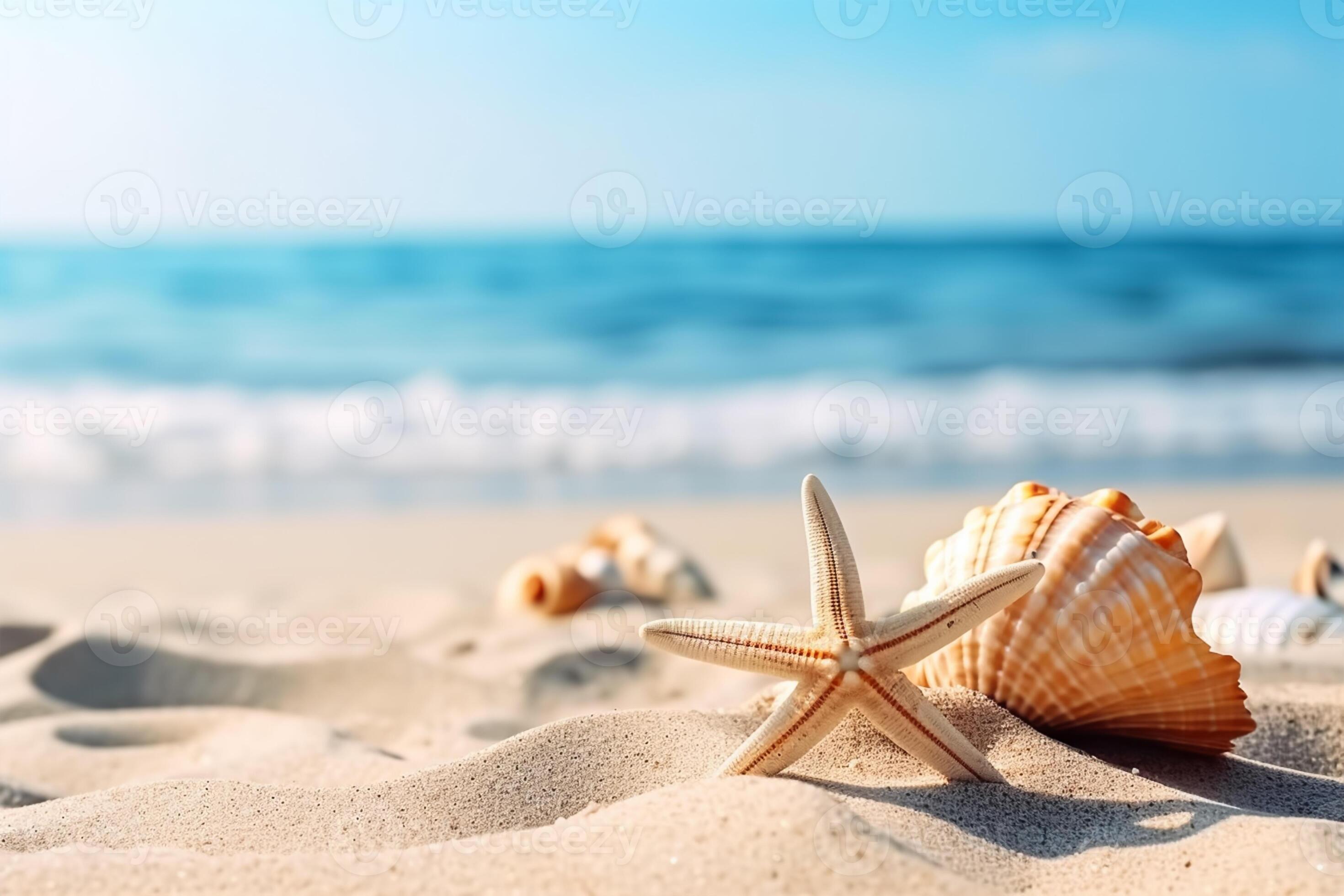 beautiful sea shells on the seashore with room for a product or advertising  text with copy space. generative ai 21966729 Stock Photo at Vecteezy
