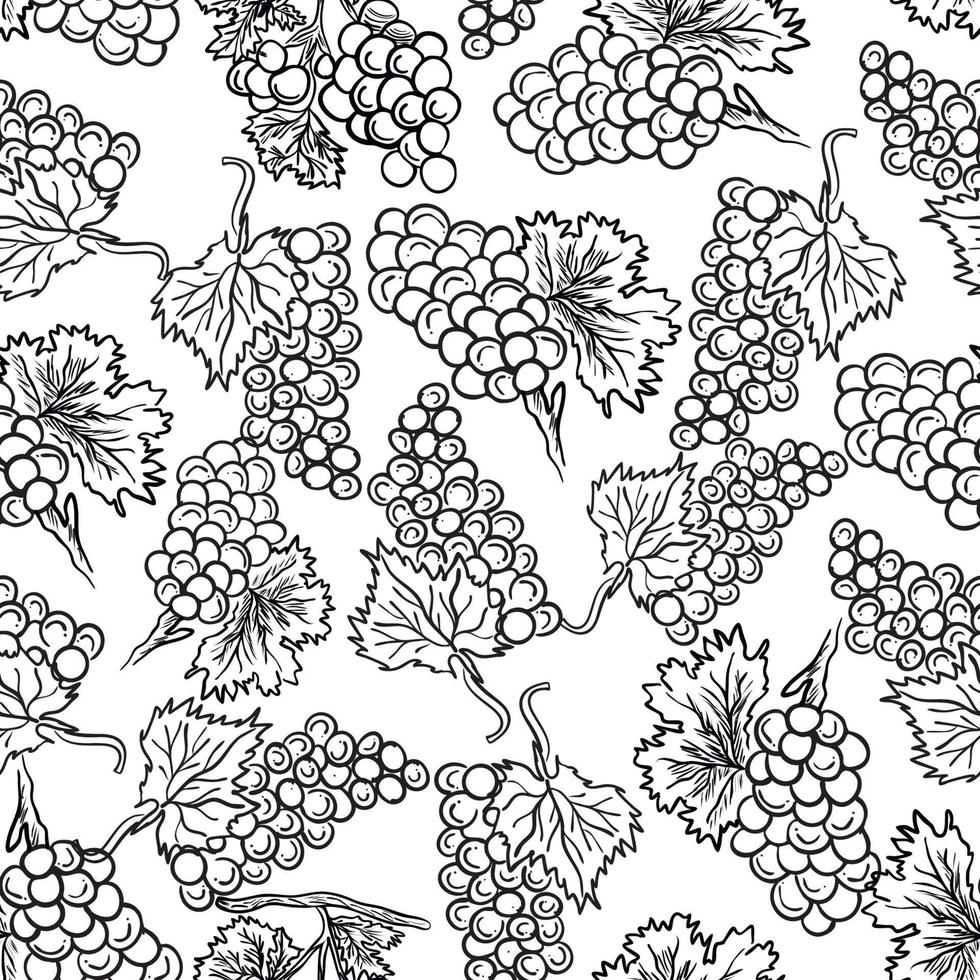 black and white outline seamless grapes pattern vector