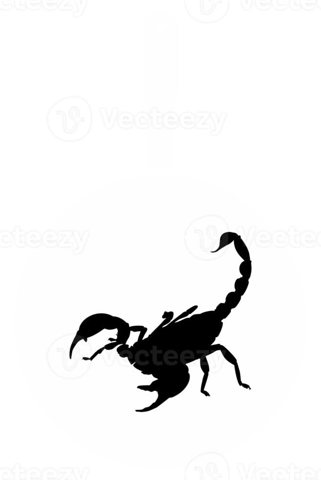 Scorpion on the Pan Silhouette for Bizarre or Extreme or Exotic Food, Traditional Food in Asian Country, Culinary Sign for Icon Symbol, Apps, Pictogram, Logo, Website, or Graphic Design Element. PNG