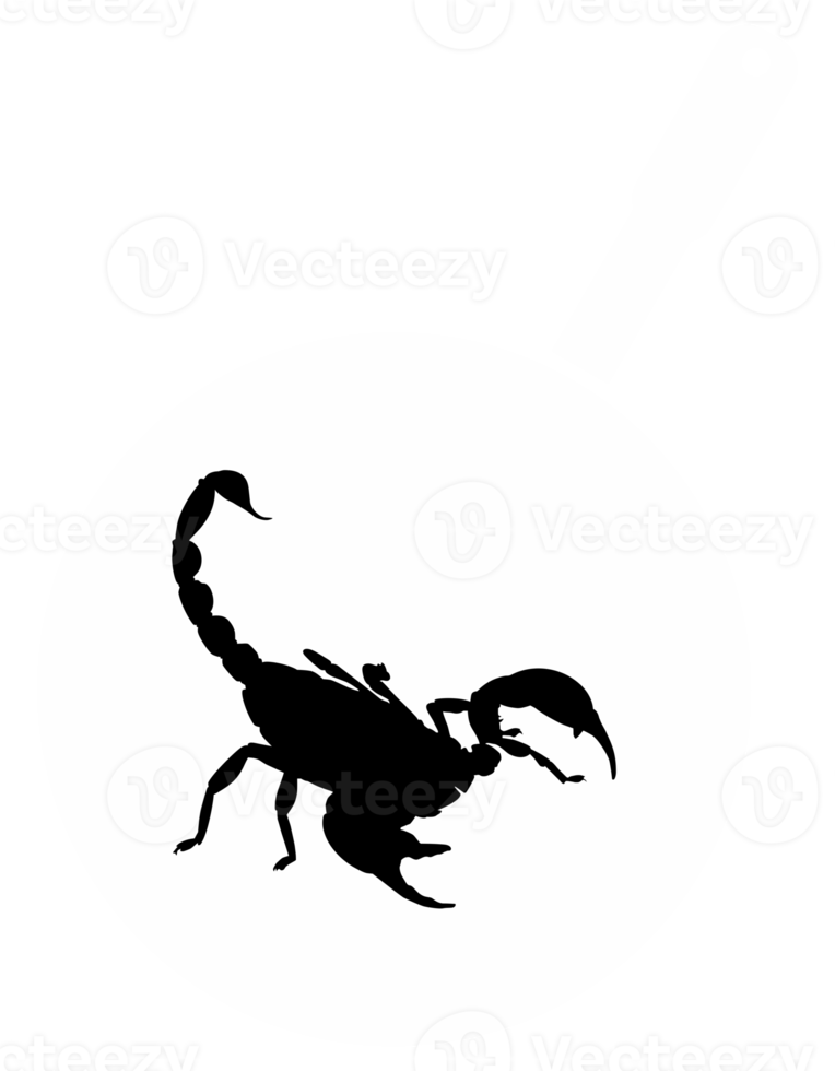 Scorpion on the Pan Silhouette for Bizarre or Extreme or Exotic Food, Traditional Food in Asian Country, Culinary Sign for Icon Symbol, Apps, Pictogram, Logo, Website, or Graphic Design Element. PNG