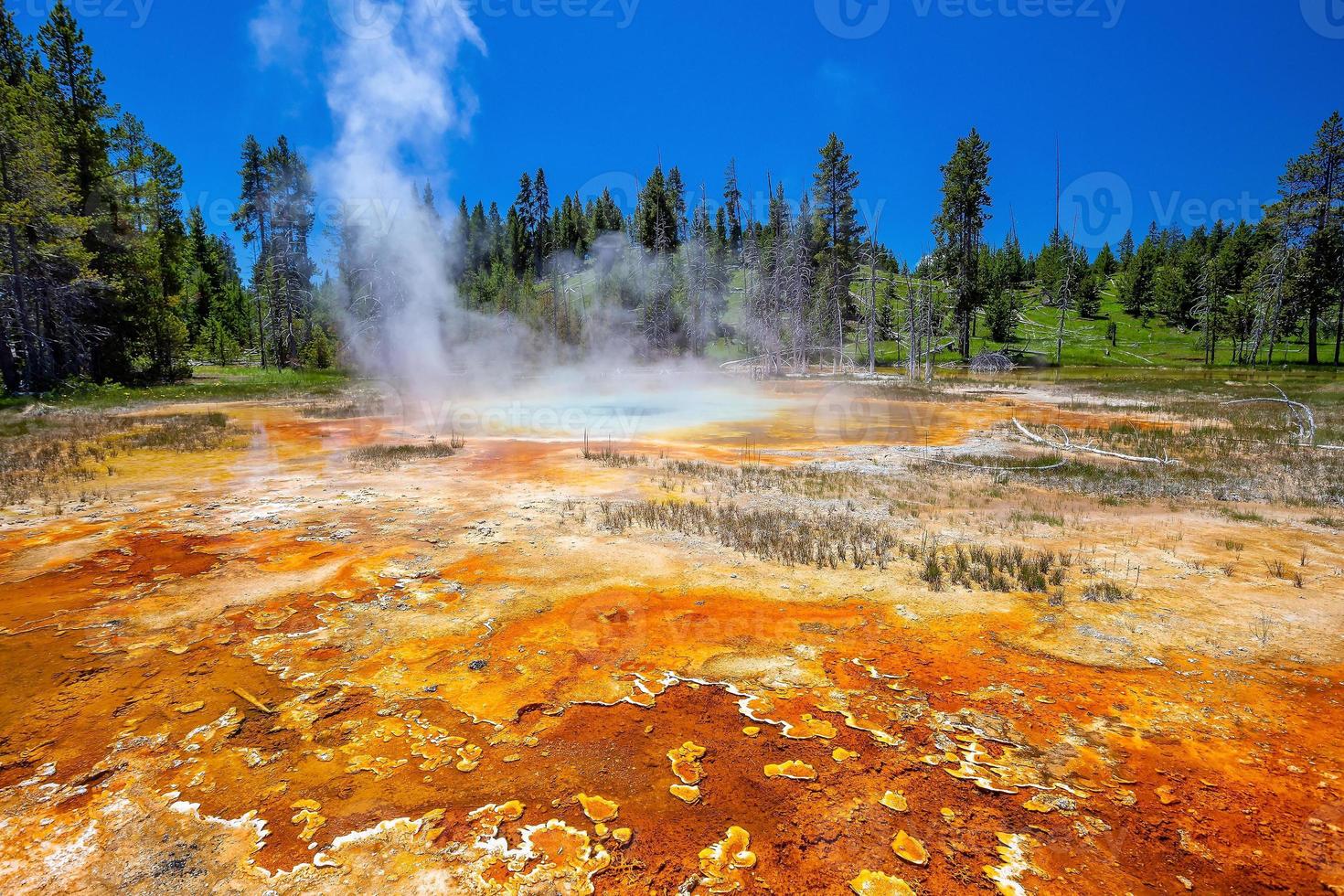 Hot spring in Yellow stone National Park in USA photo