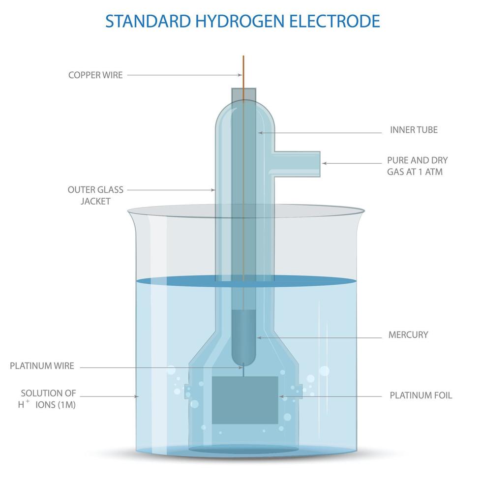 un estándar hidrógeno electrodo ella es un electrodo ese científicos utilizar como un referencia