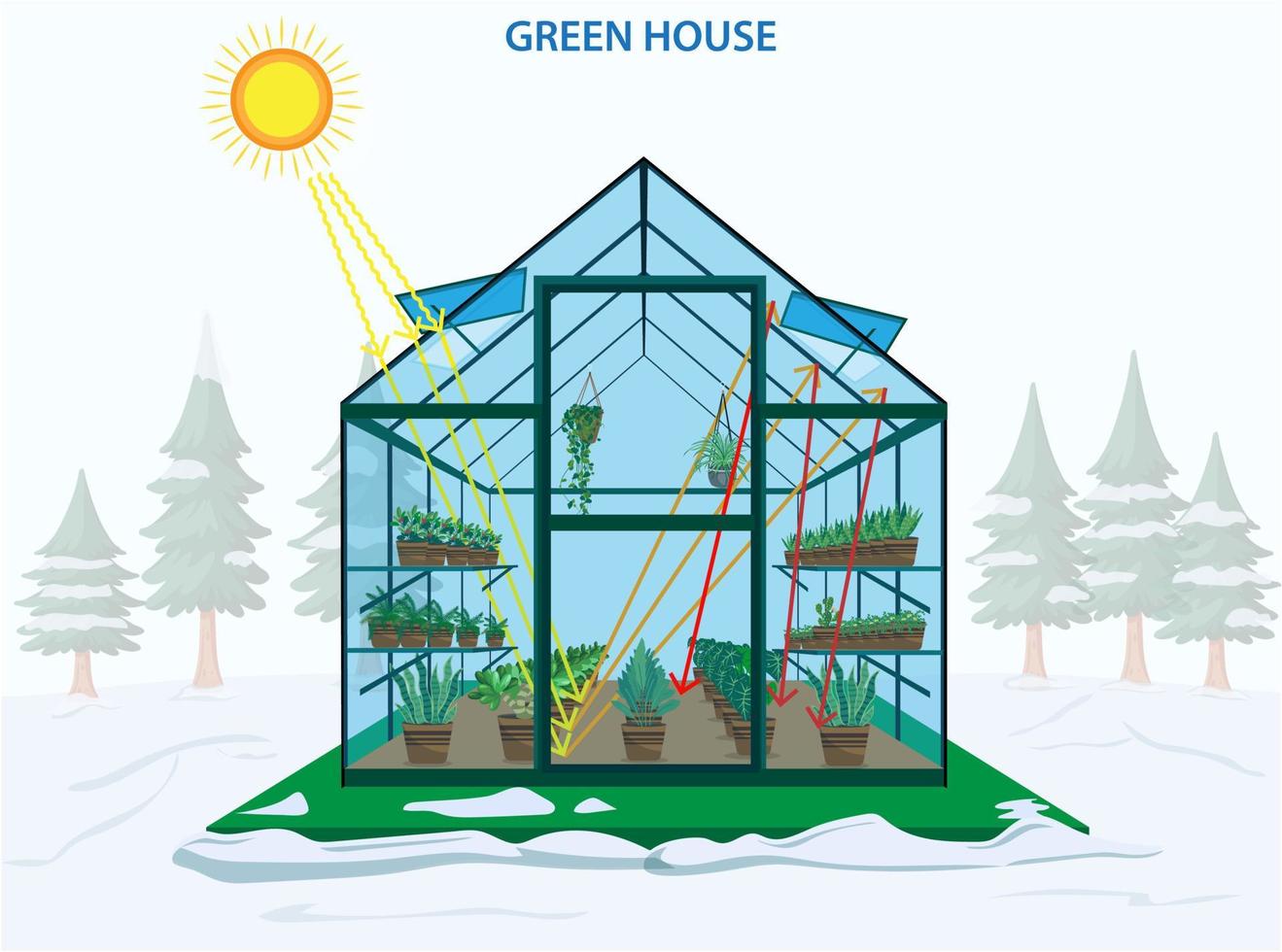 Plants growing in pots inside the glass greenhouse vector