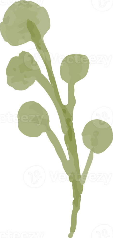 isolato acquerello illustrazione di fiore germoglio png