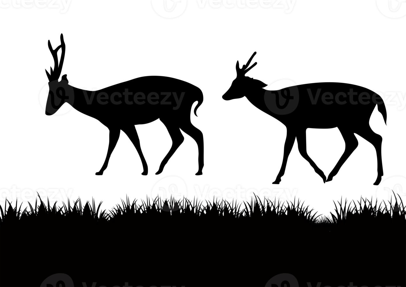 grafik teckning silhuett två rådjur gående på gräs illustration genomskinlighet png
