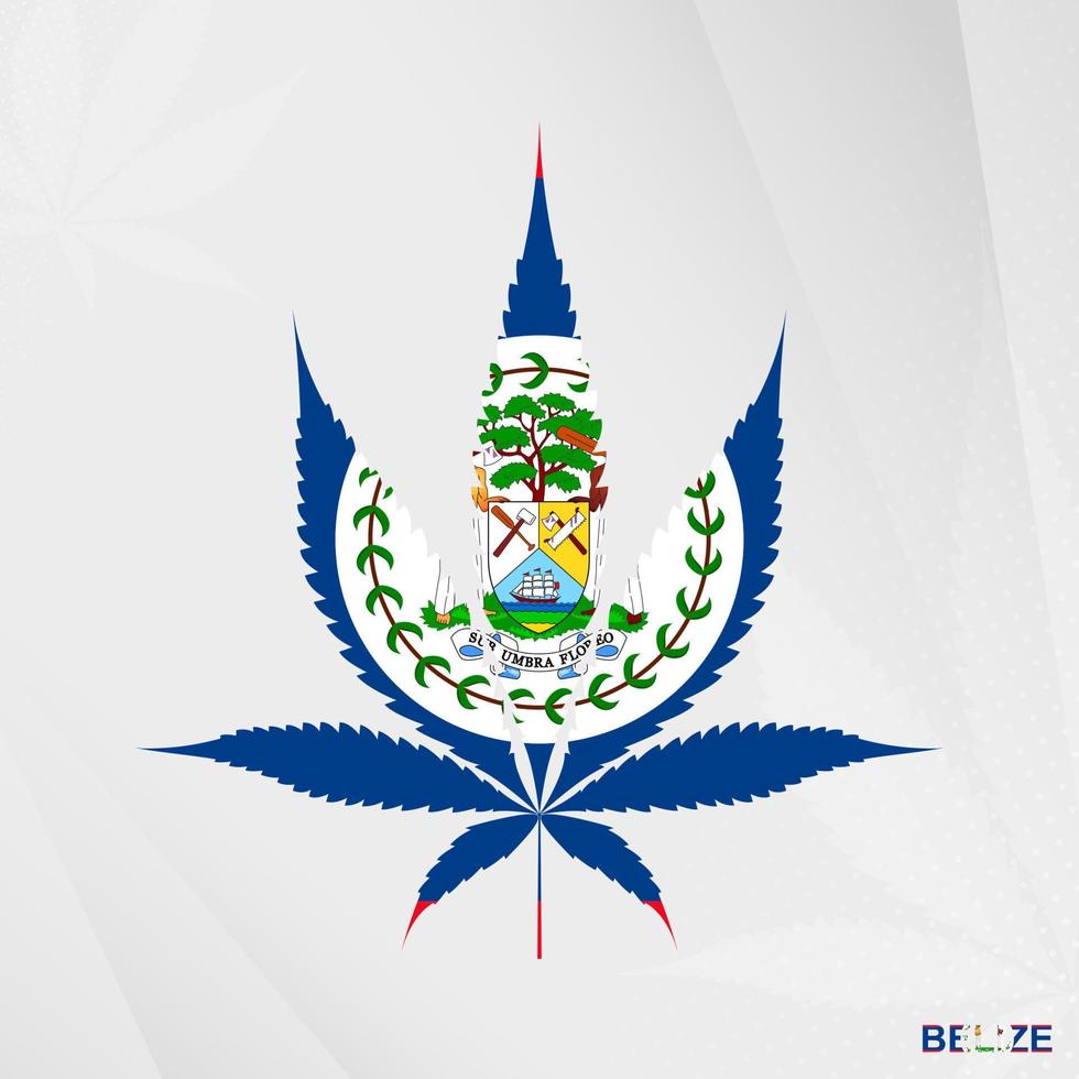 Flag of Belize in Marijuana leaf shape. The concept of legalization Cannabis in Belize. vector
