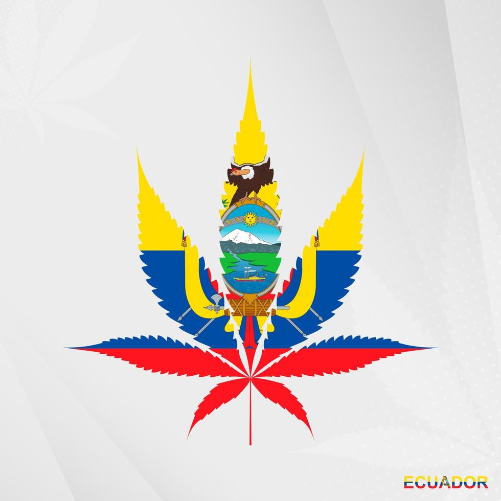 Flag of Ecuador in Marijuana leaf shape. The concept of legalization Cannabis in Ecuador. vector