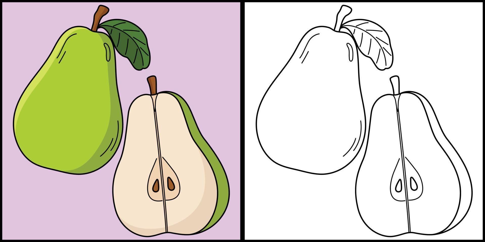 Pear Fruit Coloring Page Colored Illustration vector