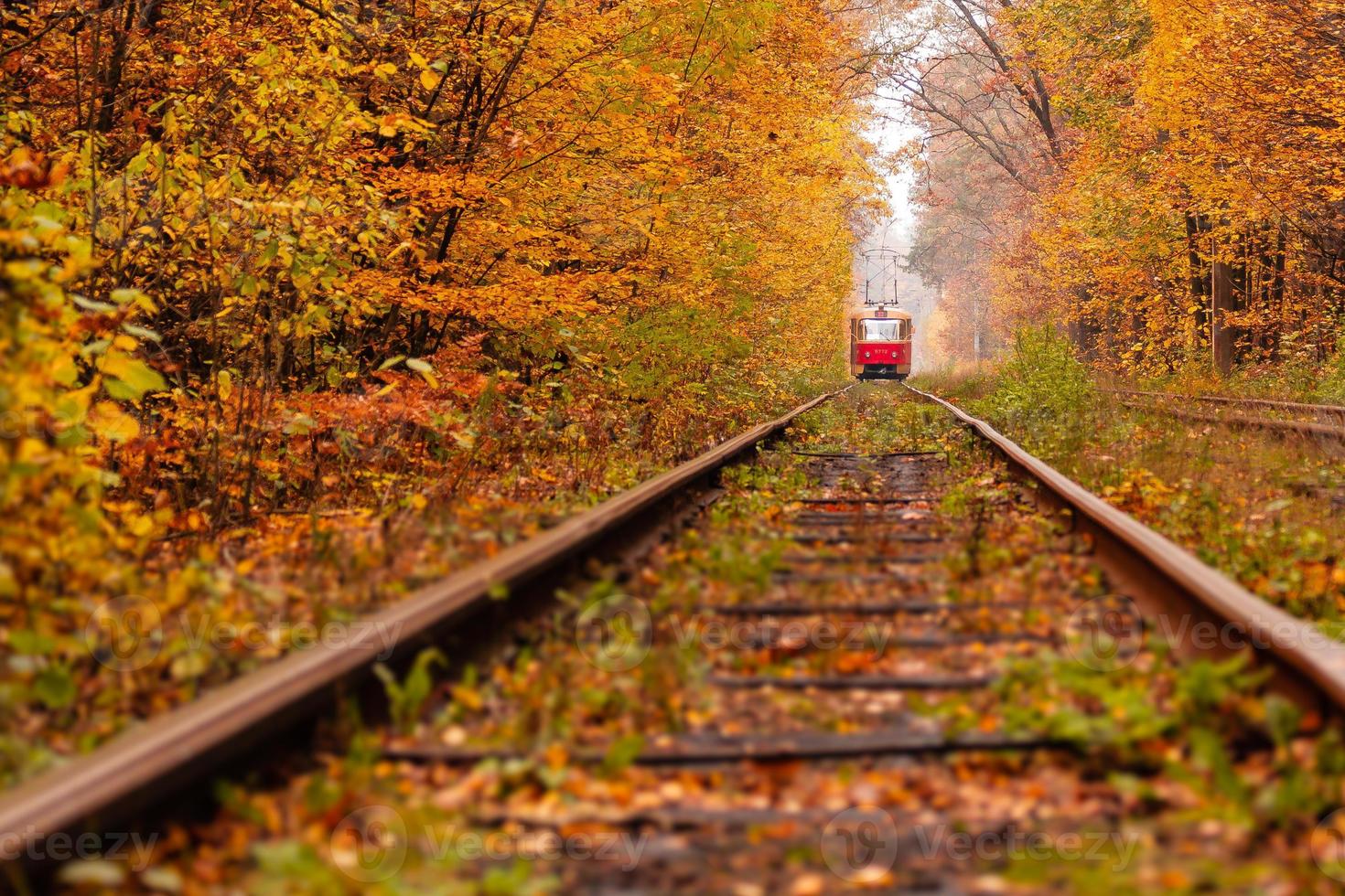 autumn forest among which goes a strange tram photo