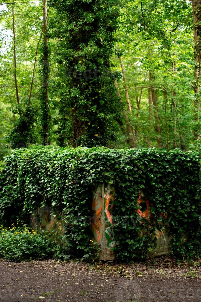 Concrete structure in the woods photo