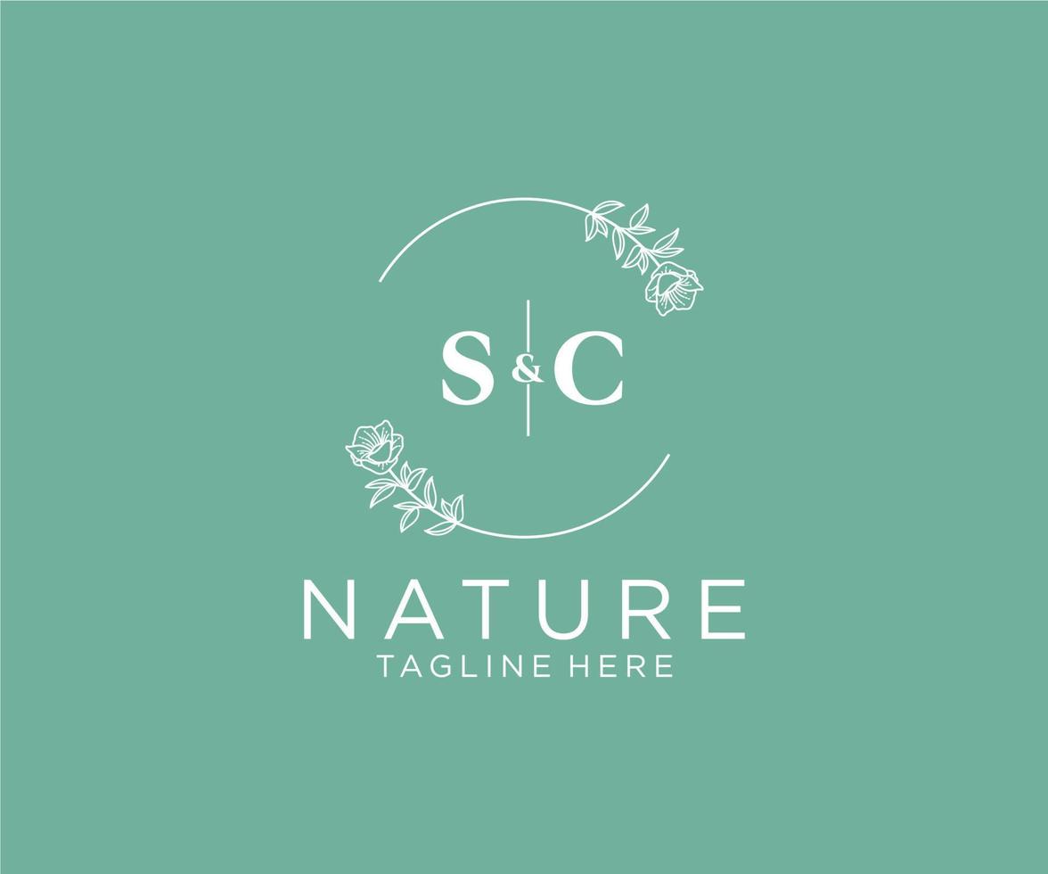 initial SC letters Botanical feminine logo template floral, editable premade monoline logo suitable, Luxury feminine wedding branding, corporate. vector