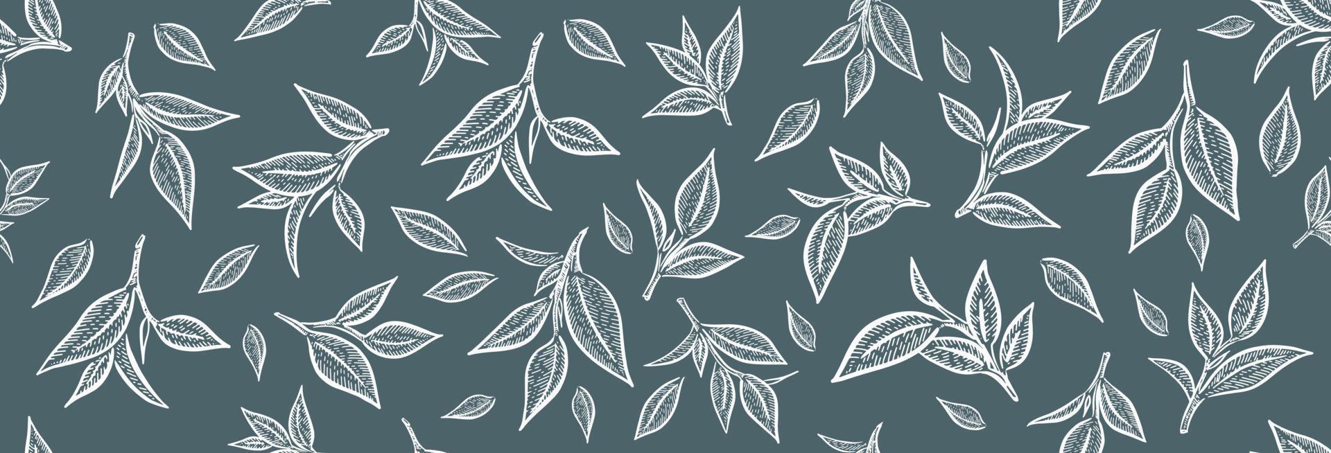 Green tea leaves. Hand drawn, vector. vector