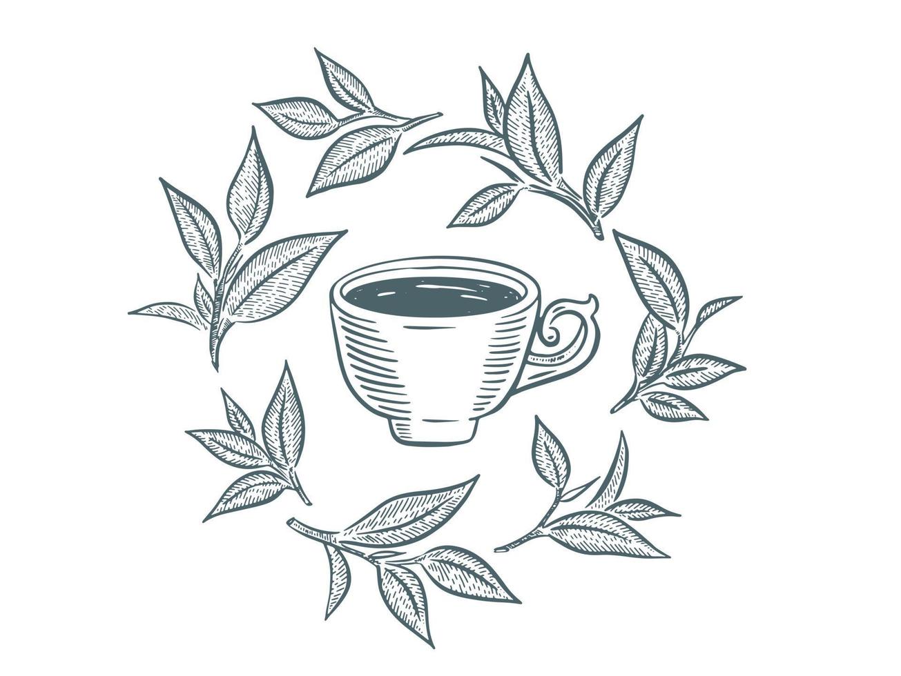 Green Tea Cup, hand drawn, drawing isolated on white vector
