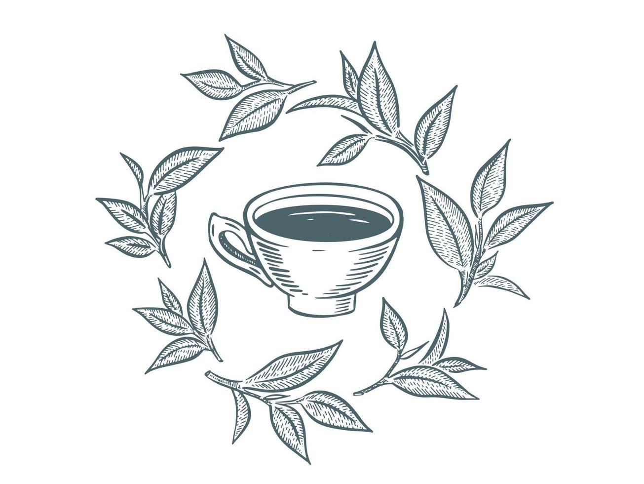 Green Tea Cup, hand drawn, drawing isolated on white vector