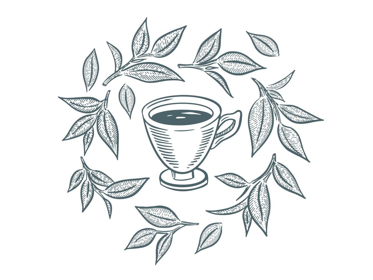 Green Tea Cup, hand drawn, drawing isolated on white vector