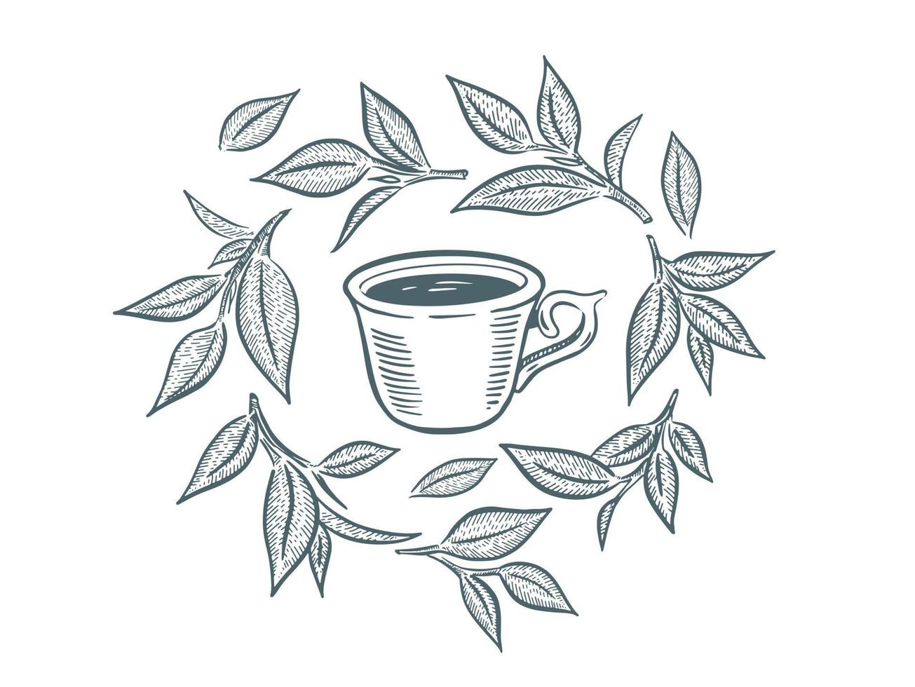 Green Tea Cup, hand drawn, drawing isolated on white vector