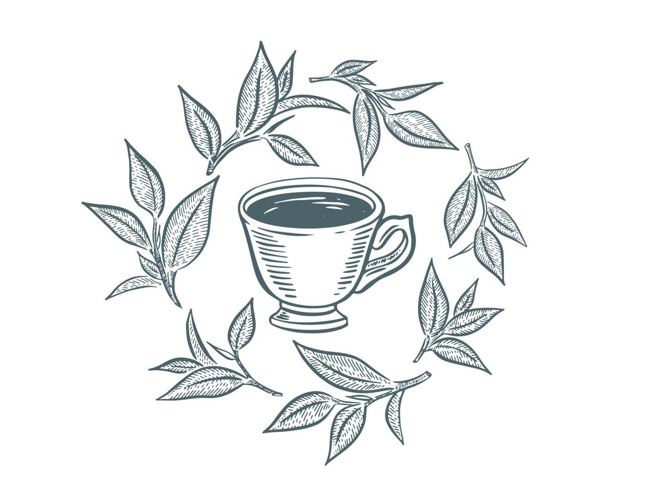 verde té taza, mano dibujado, dibujo aislado en blanco vector