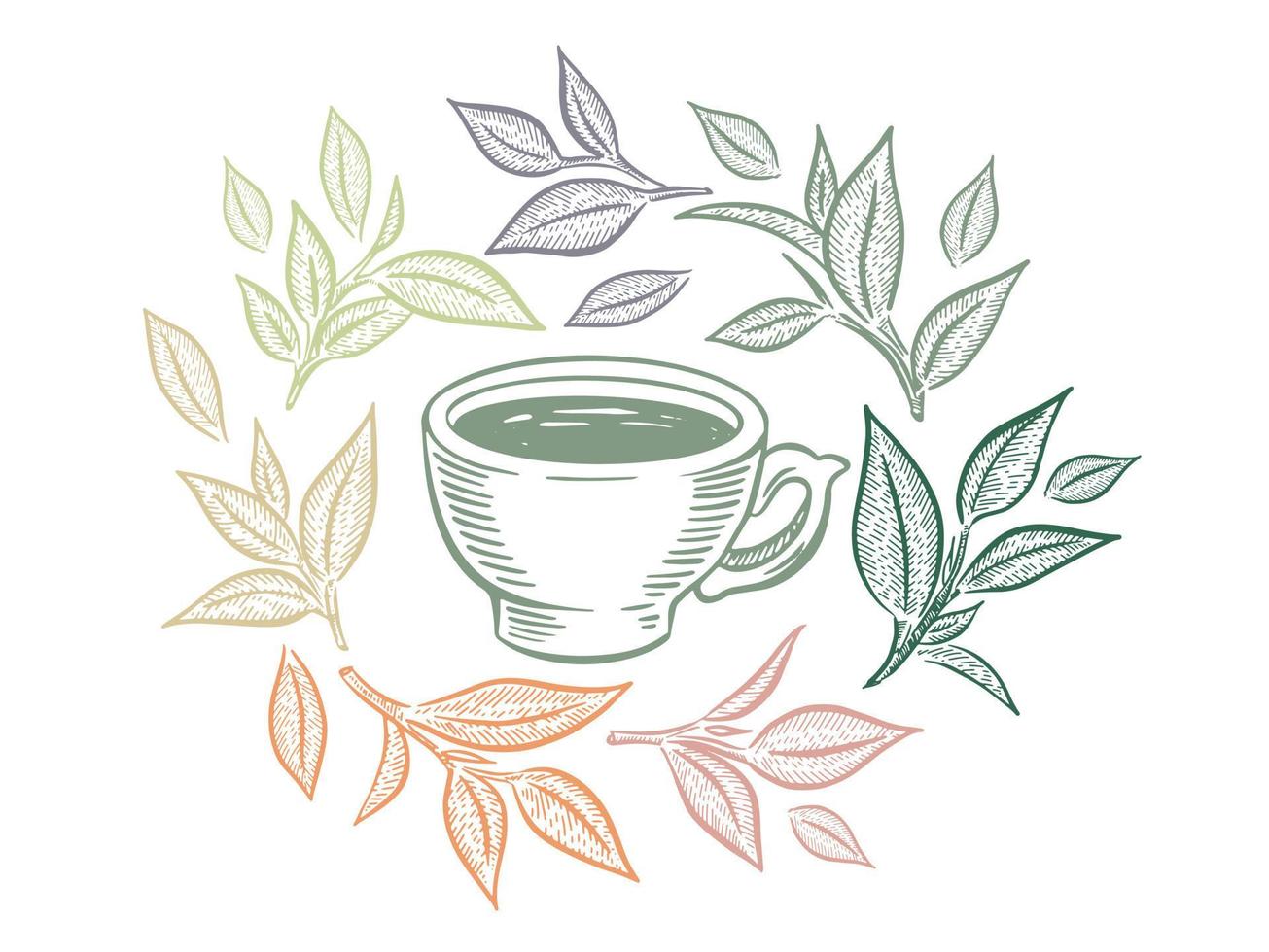 verde té taza, mano dibujado, dibujo aislado en blanco vector