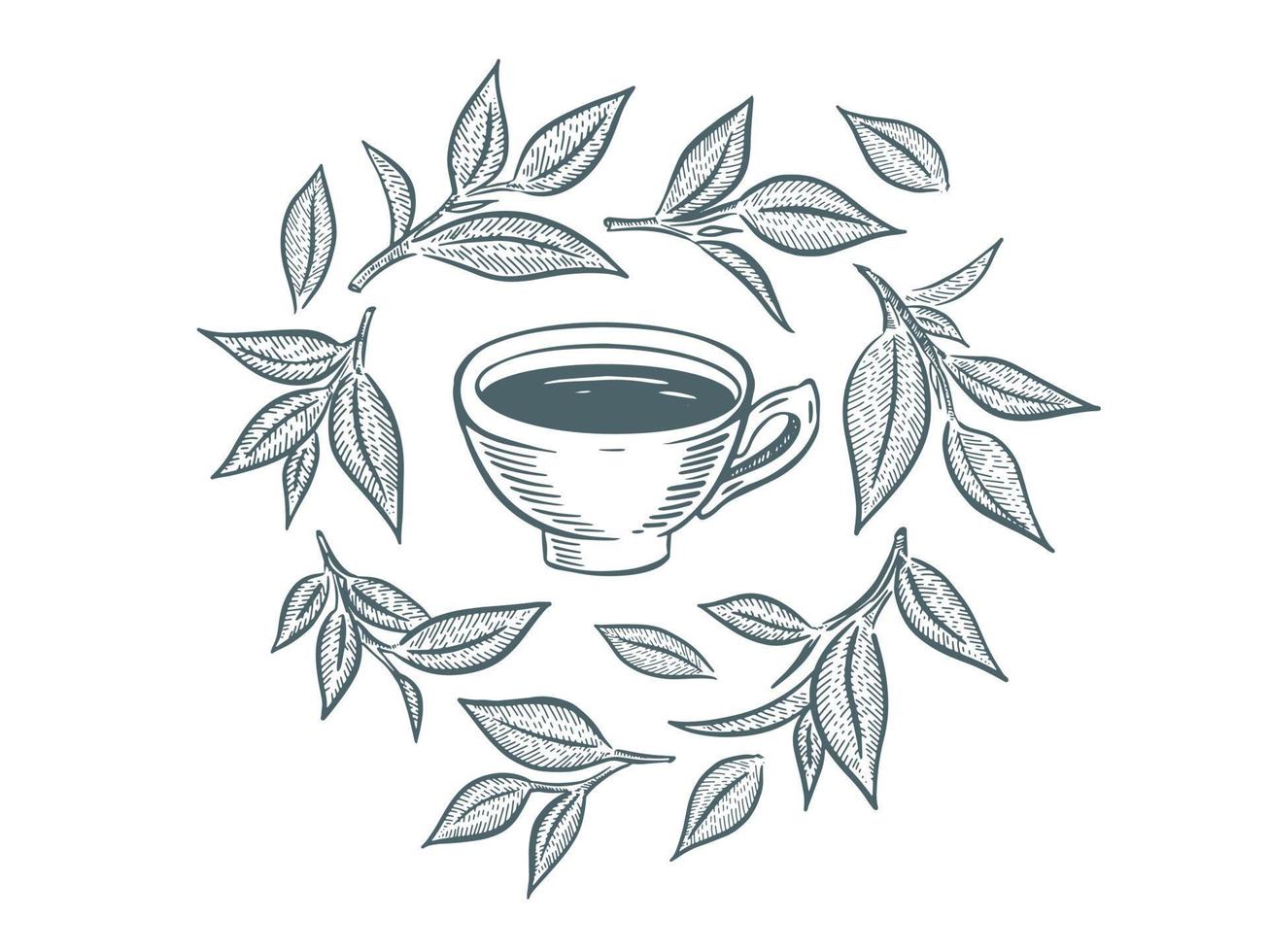 verde té taza, mano dibujado, dibujo aislado en blanco vector