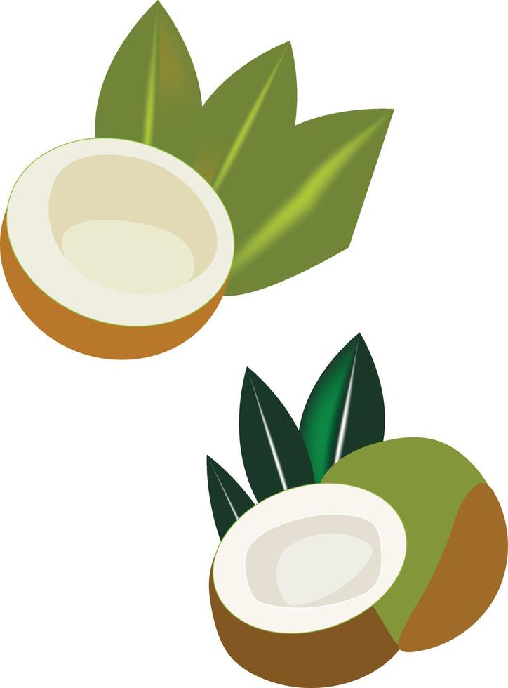 coconut tree free vector design  logo