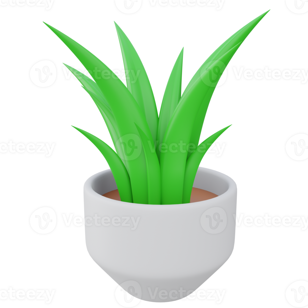 aloe vera plant pot 3d render icon illustration with transparent background png