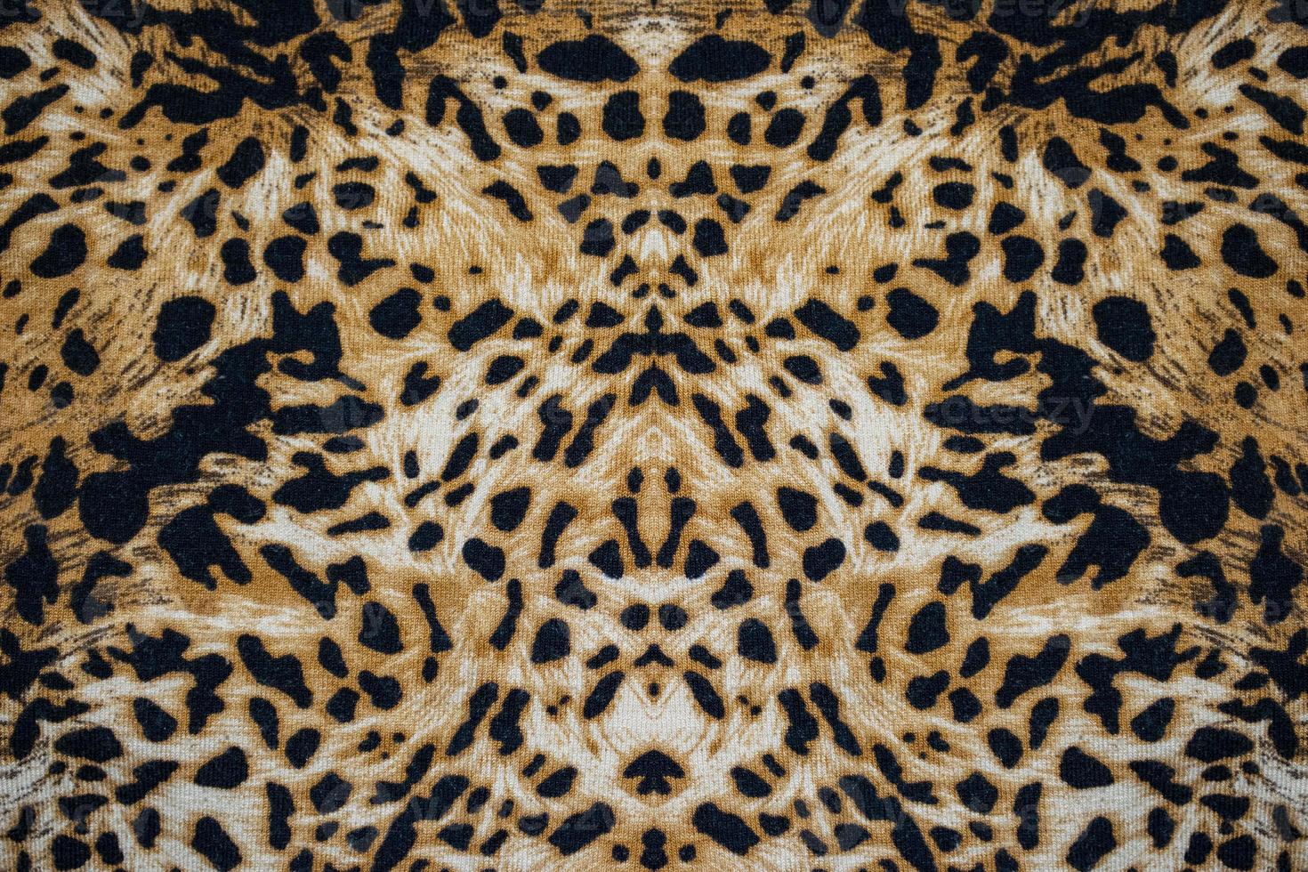 Beautiful wild animal skin, close up animal print photo