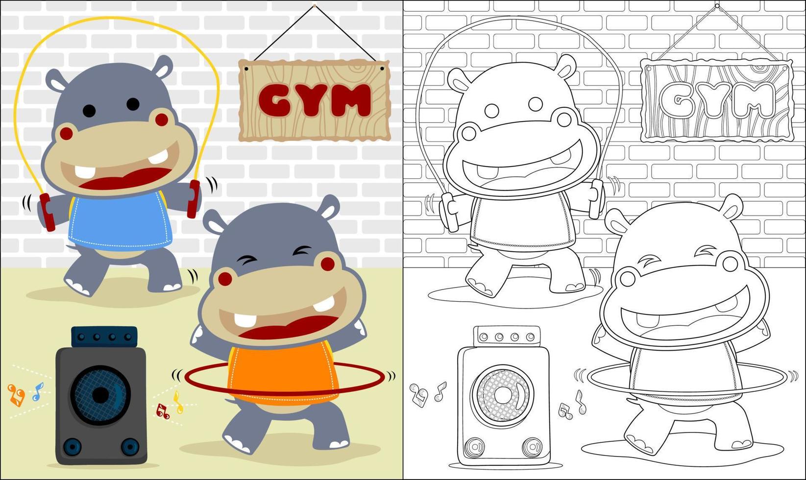 Vector cartoon of two funny hippo exercising in gym, coloring book or page
