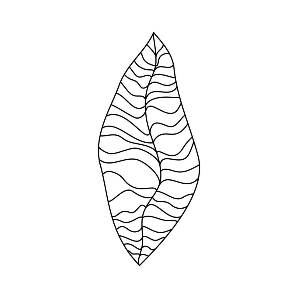 Cute abstract black and white leaf in a trendy minimalist line style contemporary chic vector illustration