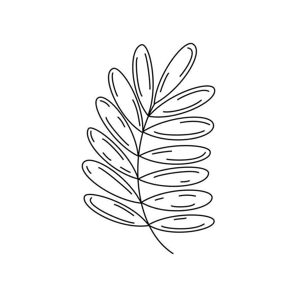 Cute abstract black and white branch with leaves in a trendy minimalist line style contemporary chic vector illustration