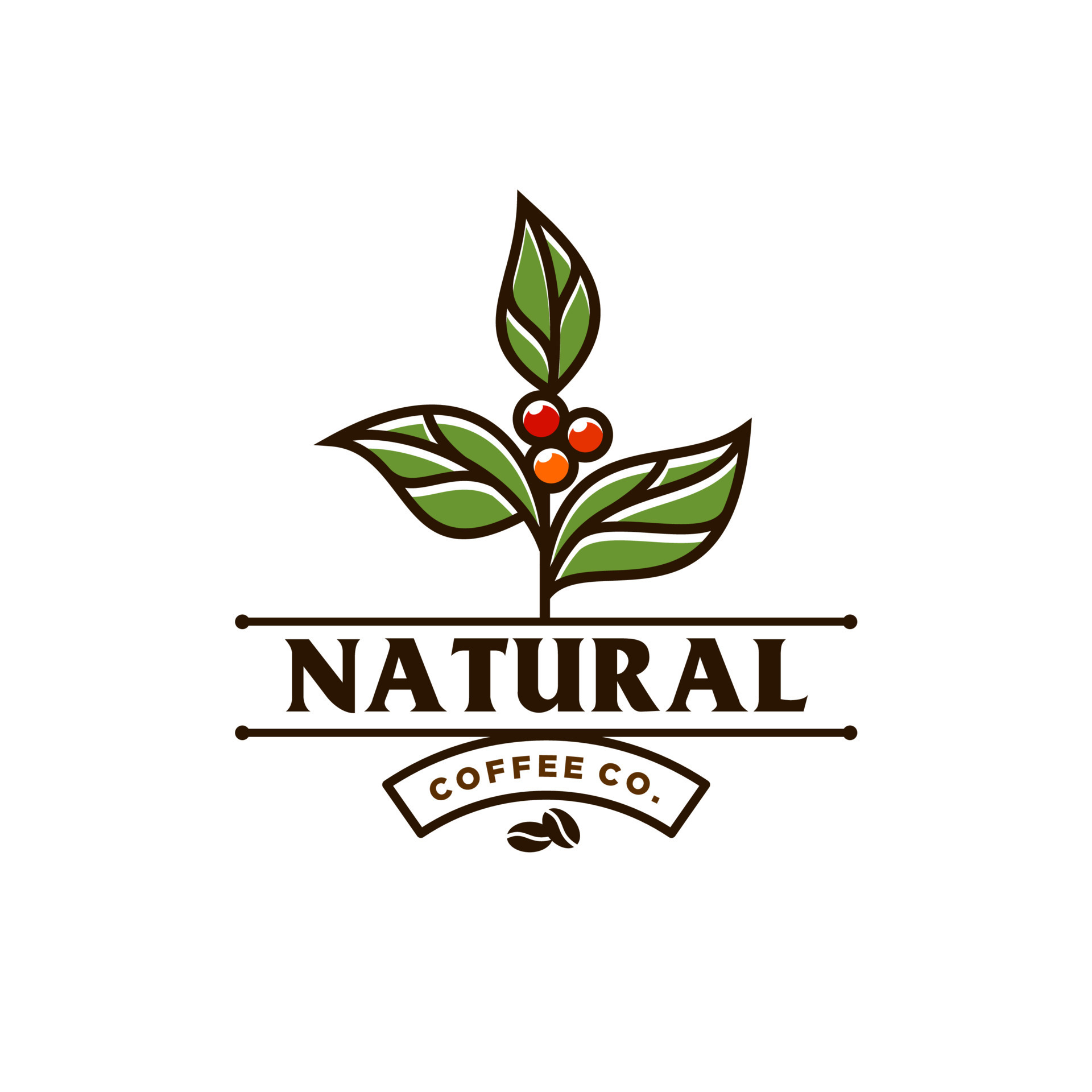 https://static.vecteezy.com/system/resources/previews/021/972/927/original/classic-coffee-bean-and-leaf-branch-natural-line-stamp-logo-icon-design-in-vintage-hipster-modern-beautiful-style-premium-coffee-shop-bar-icon-vector.jpg