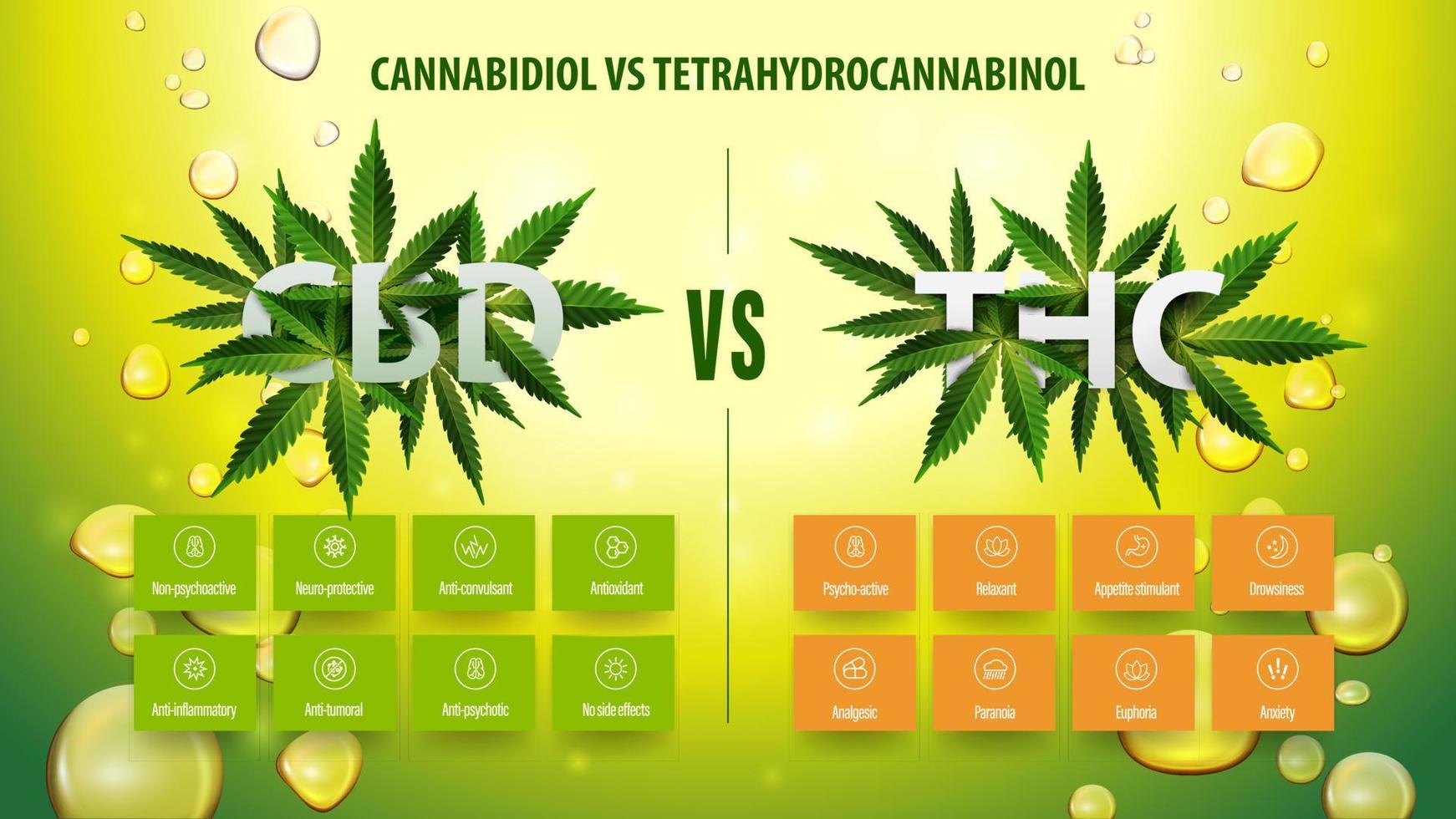 CBD vs THC, green information poster with infographic and list of differences vector