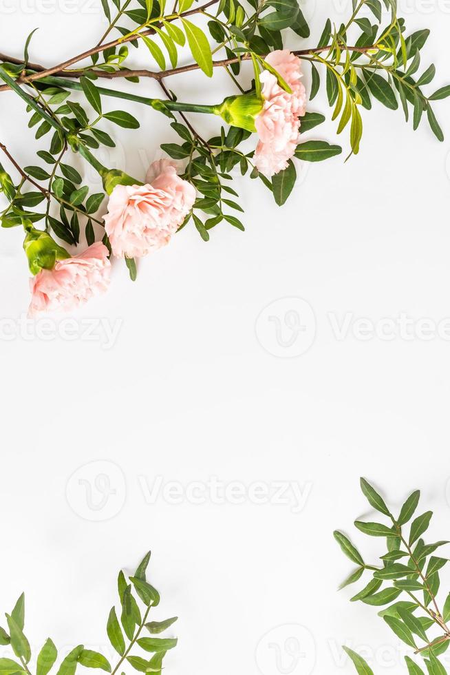 Beautiful delicate floral background with copy space. holiday card, layout. vertical view. flat lay of pink carnations and green leaves. frame. photo