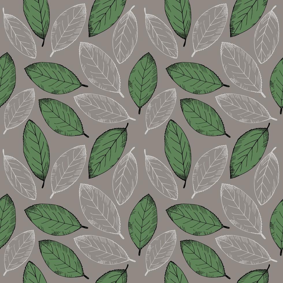 Seamless pattern with bay leaf. Repeating background with laurel leaves. Hand-drawn illustration. Design element. Vector