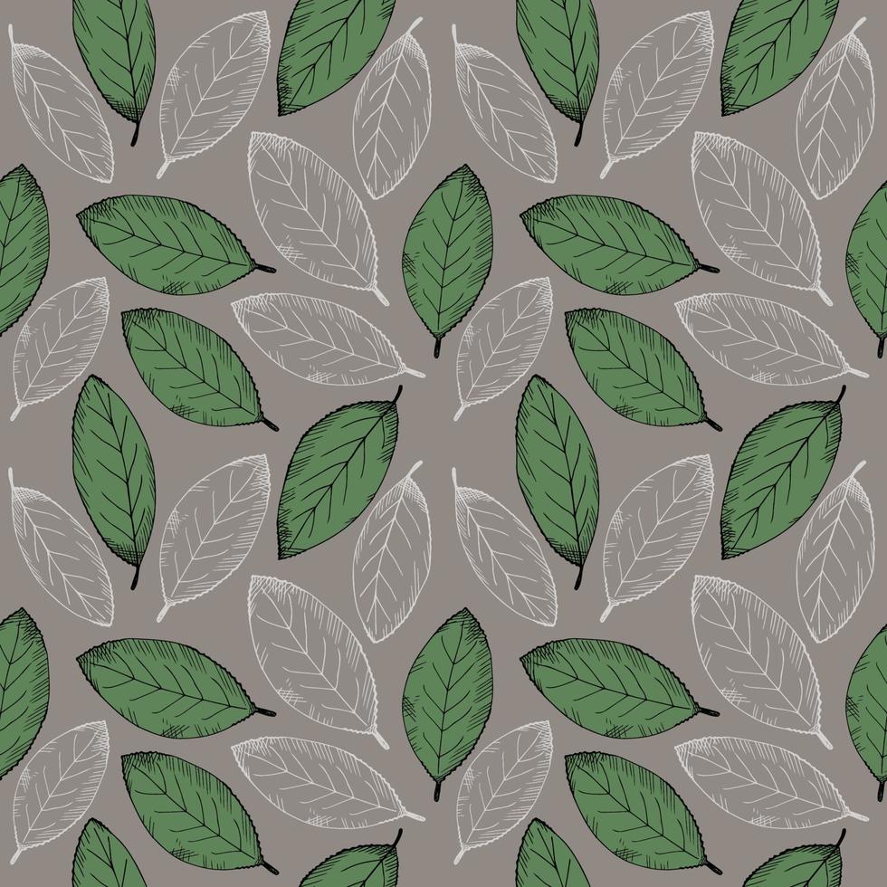 Seamless pattern with bay leaf. Repeating background with laurel leaves. Hand-drawn illustration. Design element. Vector