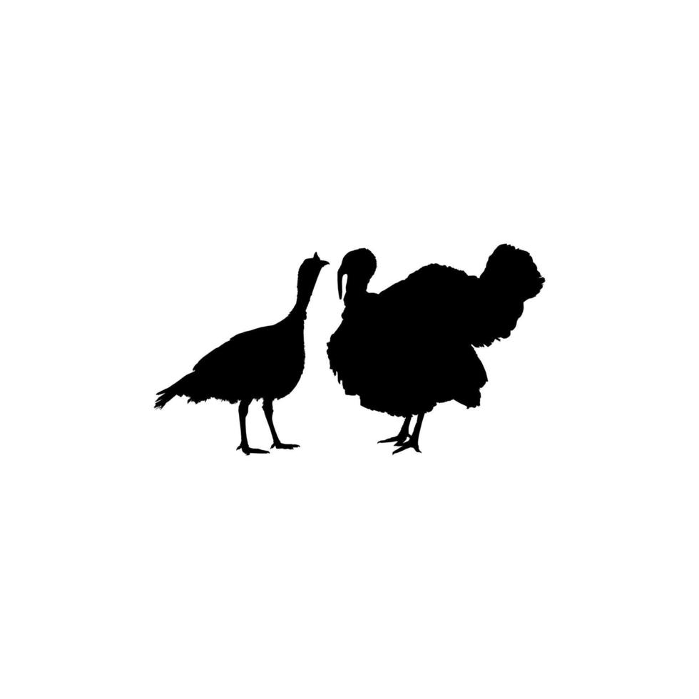 Pair of Turkey Silhouette for Art Illustration, Pictogram or Graphic Design Element. The Turkey is a large bird in the genus Meleagris. Vector Illustration