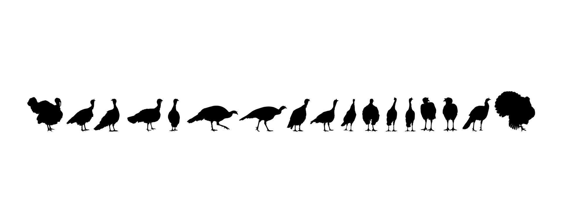 Flock of the Turkey Silhouette for Art Illustration, Pictogram or Graphic Design Element. The Turkey is a large bird in the genus Meleagris. Vector Illustration