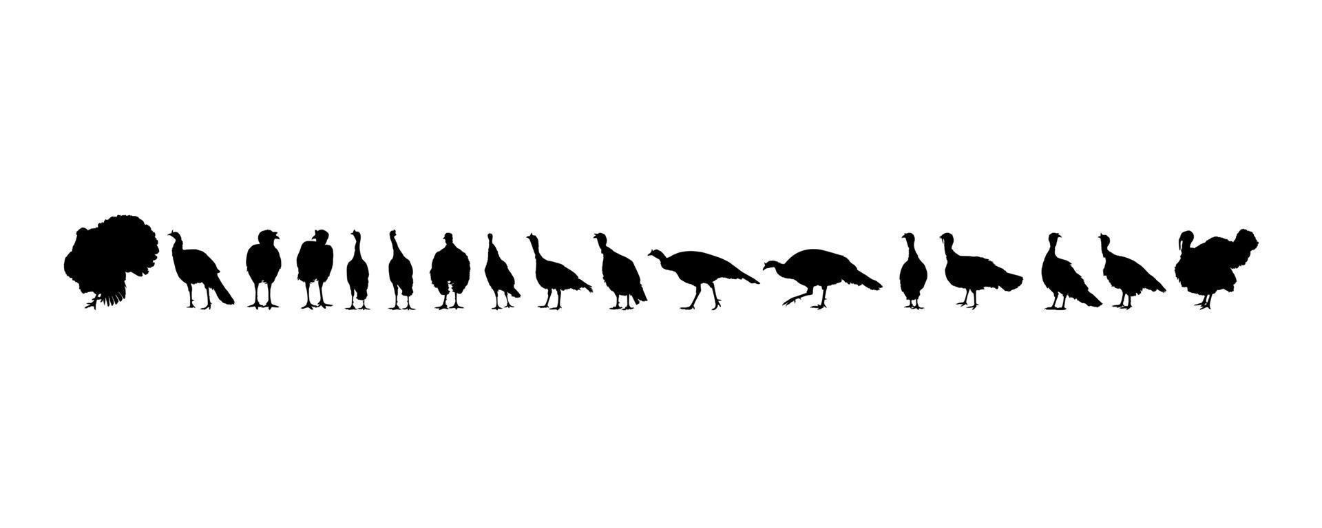 Flock of the Turkey Silhouette for Art Illustration, Pictogram or Graphic Design Element. The Turkey is a large bird in the genus Meleagris. Vector Illustration