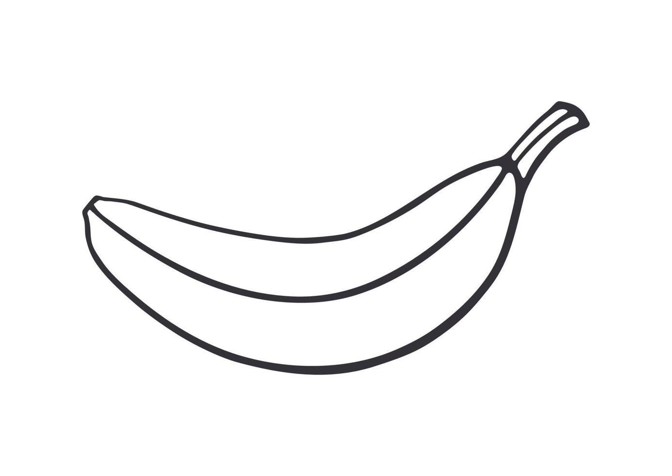 Outline doodle of not peeled banana vector