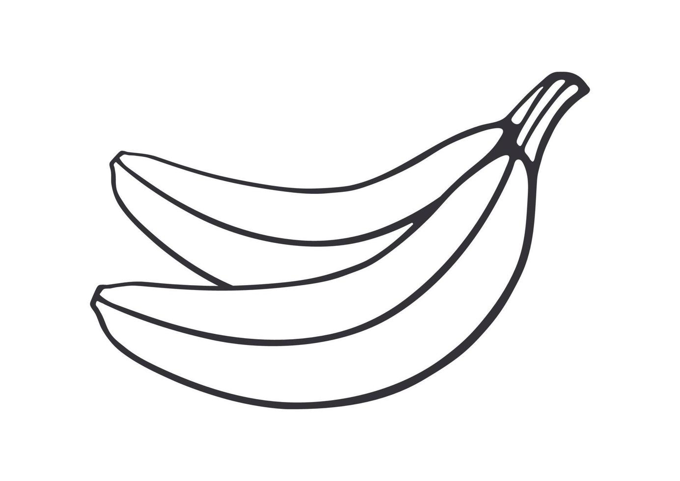 Outline doodle of two bananas vector
